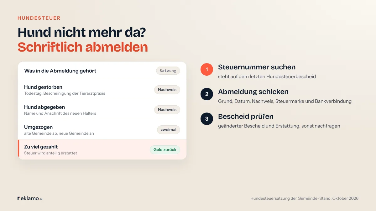 Infografik: Hund nicht mehr da? Schriftlich abmelden. Karte Was in die Abmeldung gehört, Satzung: Hund gestorben mit Todestag und Bescheinigung der Tierarztpraxis; Hund abgegeben mit Name und Anschrift des neuen Halters; umgezogen, alte Gemeinde ab, neue an; zu viel gezahlt, Steuer wird anteilig erstattet. Schritte: Steuernummer suchen, Abmeldung schicken, Bescheid prüfen.