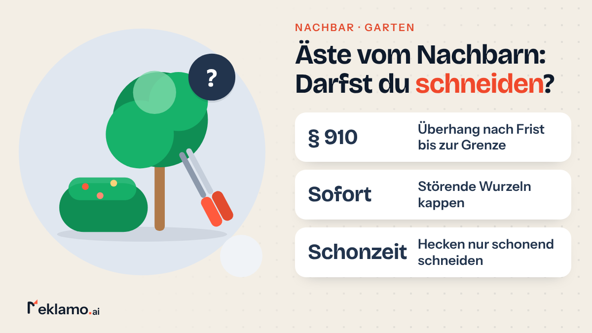 Infografik: Nachbar schneidet Baum oder Hecke nicht, Überhang nach Frist bis zur Grenze schneiden, Wurzeln sofort, in der Schonzeit nur schonend
