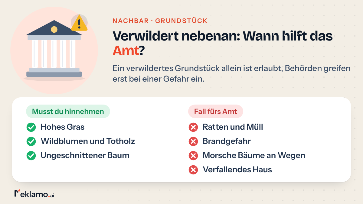 Infografik: Nachbargrundstück verwildert, Wildwuchs und Totholz musst du hinnehmen, Ratten, Müll, Brandgefahr und morsche Bäume sind ein Fall fürs Amt